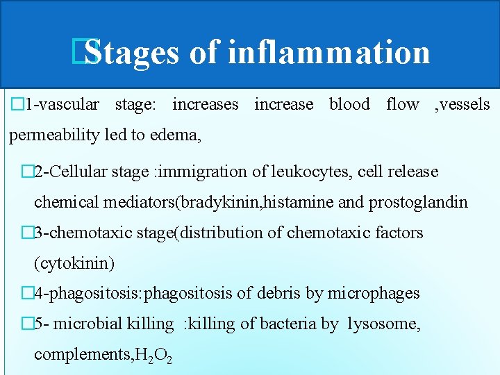 � Stages of inflammation � 1 -vascular stage: increases increase blood flow , vessels