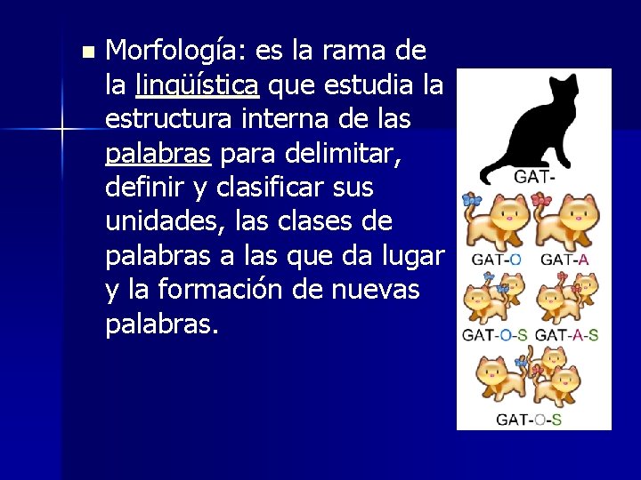 n Morfología: es la rama de la lingüística que estudia la estructura interna de