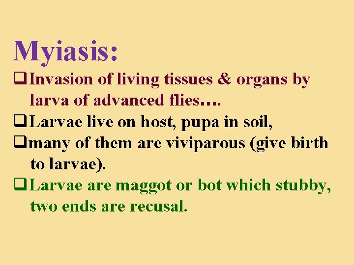 Myiasis: q. Invasion of living tissues & organs by larva of advanced flies…. q.