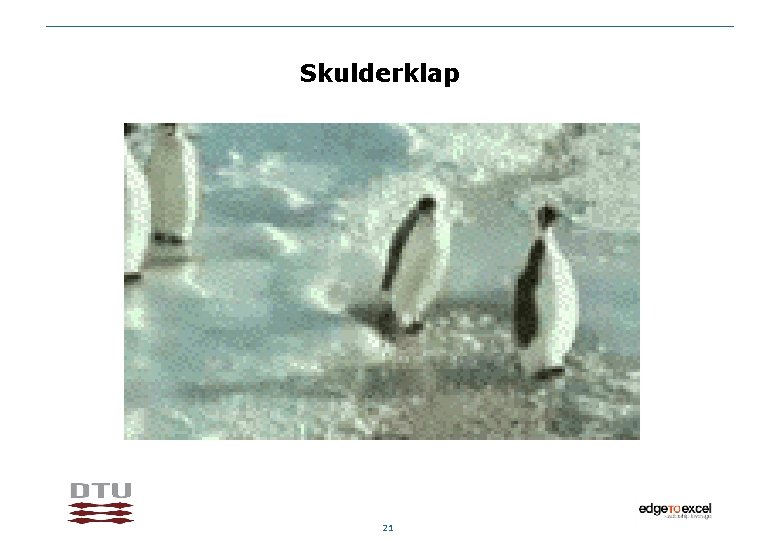 Skulderklap 21 