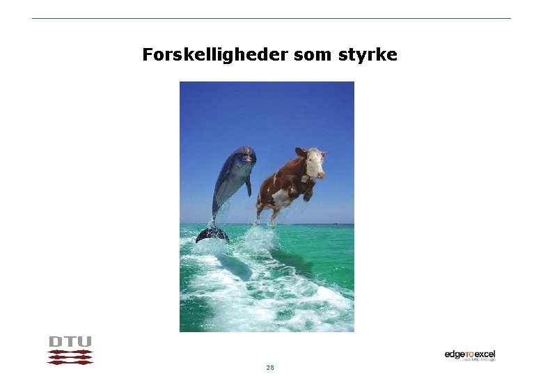 Forskelligheder som styrke 28 