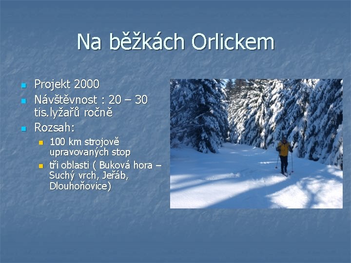 Na běžkách Orlickem n n n Projekt 2000 Návštěvnost : 20 – 30 tis.