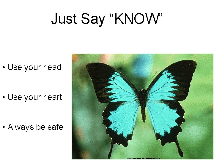 Just Say “KNOW” • Use your head • Use your heart • Always be