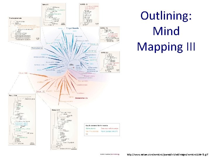 Outlining: Mind Mapping III http: //www. nature. com/nrmicro/journal/v 3/n 6/images/nrmicro 1159 -f 1. gif