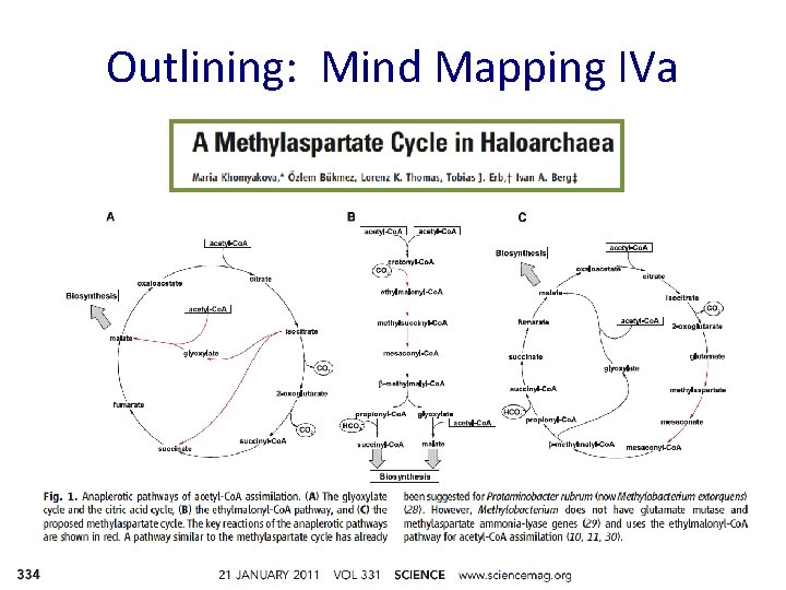 Outlining: Mind Mapping IVa 