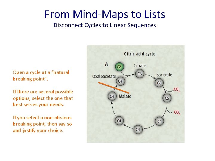 From Mind-Maps to Lists Disconnect Cycles to Linear Sequences Open a cycle at a