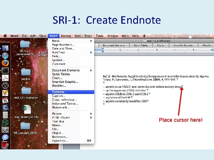 SRI-1: Create Endnote Place cursor here! 