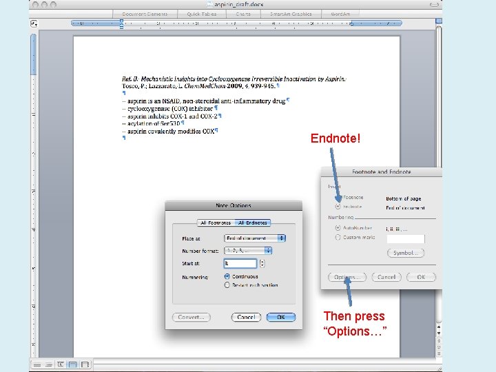 SRI-1: Create Endnote! Then press “Options…” 