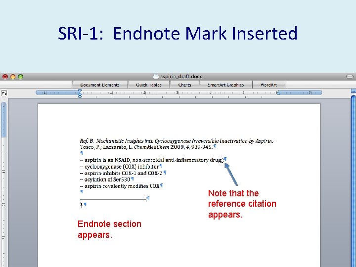 SRI-1: Endnote Mark Inserted Endnote section appears. Note that the reference citation appears. 