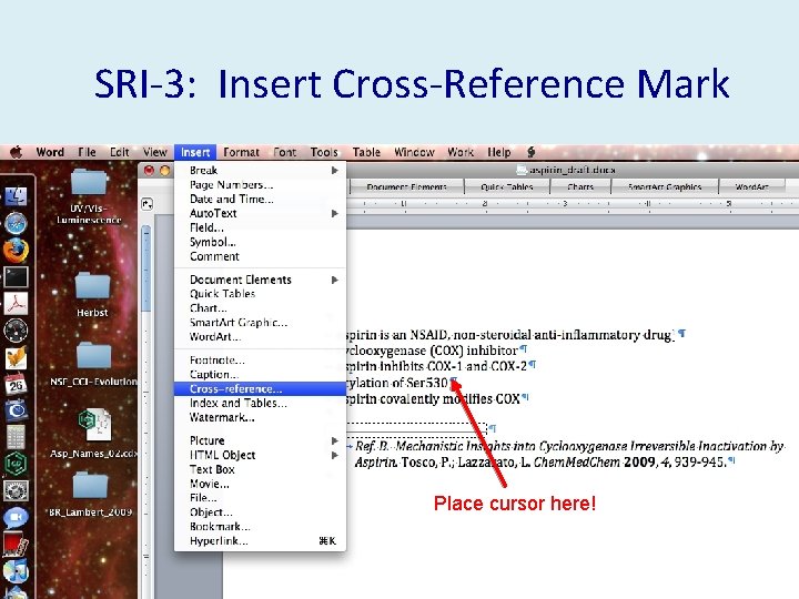 SRI-3: Insert Cross-Reference Mark Place cursor here! 