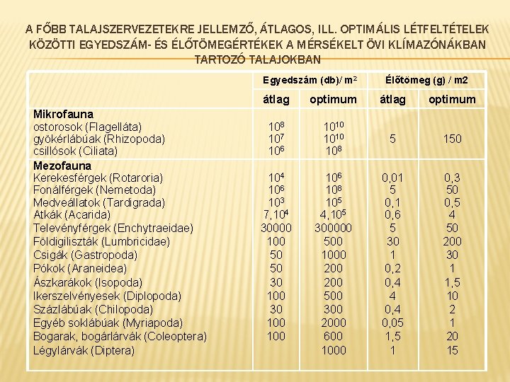 A FŐBB TALAJSZERVEZETEKRE JELLEMZŐ, ÁTLAGOS, ILL. OPTIMÁLIS LÉTFELTÉTELEK KÖZÖTTI EGYEDSZÁM- ÉS ÉLŐTÖMEGÉRTÉKEK A MÉRSÉKELT