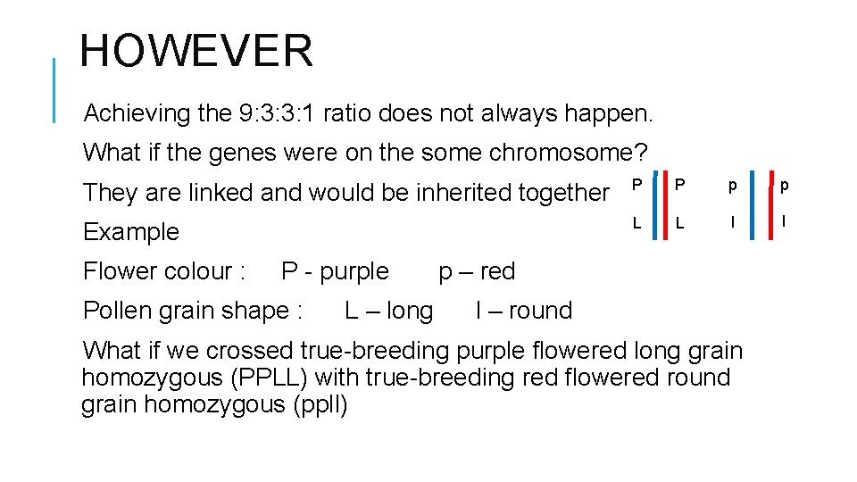 HOWEVER Achieving the 9: 3: 3: 1 ratio does not always happen. What if