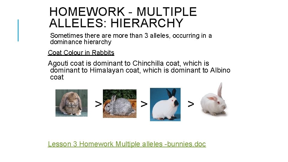 HOMEWORK - MULTIPLE ALLELES: HIERARCHY Sometimes there are more than 3 alleles, occurring in