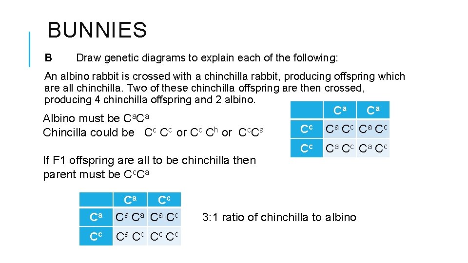 BUNNIES B Draw genetic diagrams to explain each of the following: An albino rabbit