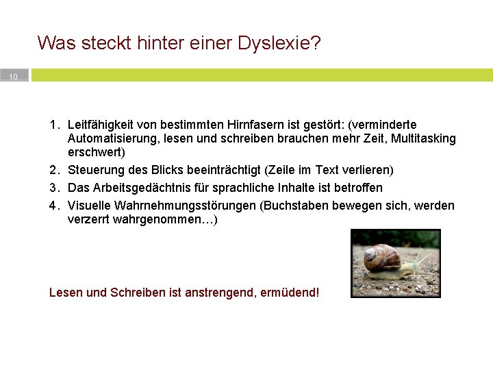 Was steckt hinter einer Dyslexie? 10 1. Leitfähigkeit von bestimmten Hirnfasern ist gestört: (verminderte