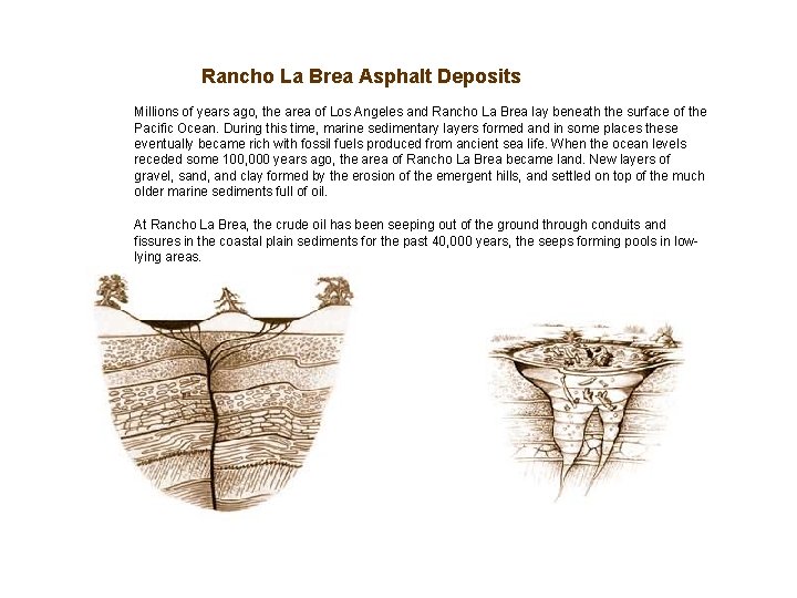 Rancho La Brea Asphalt Deposits Millions of years ago, the area of Los Angeles