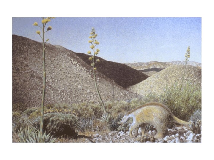 A scene in the low deserts of Imperial County, California of about 11, 000