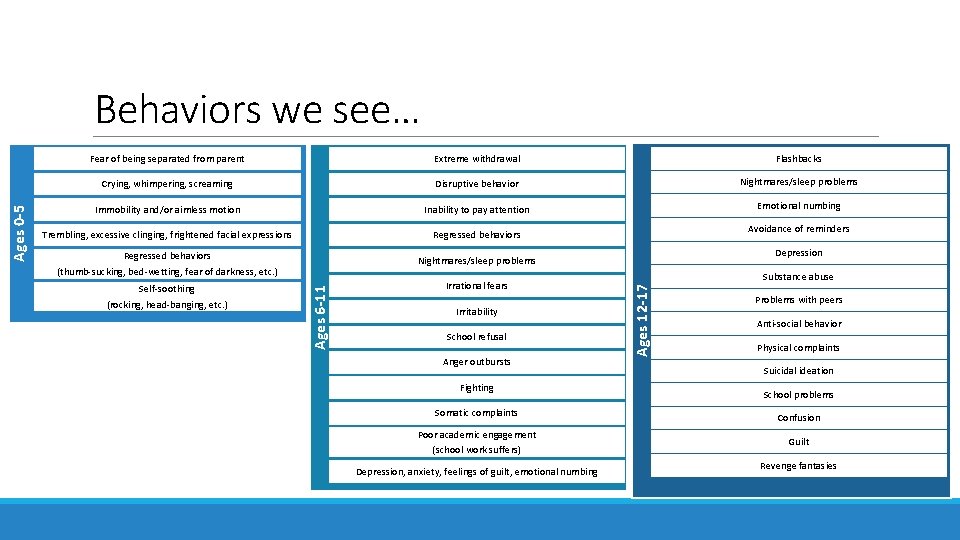 Fear of being separated from parent Extreme withdrawal Flashbacks Crying, whimpering, screaming Disruptive behavior