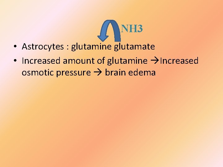 NH 3 • Astrocytes : glutamine glutamate • Increased amount of glutamine Increased osmotic