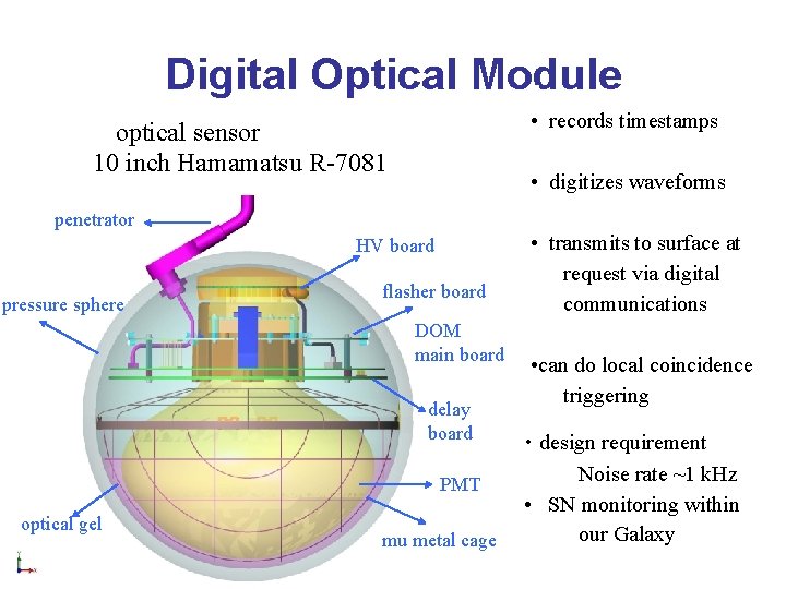 Digital Optical Module • records timestamps optical sensor 10 inch Hamamatsu R-7081 • digitizes