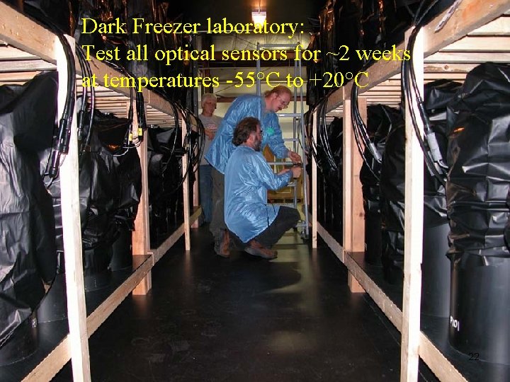 Dark Freezer laboratory: Test all optical sensors for ~2 weeks at temperatures -55°C to