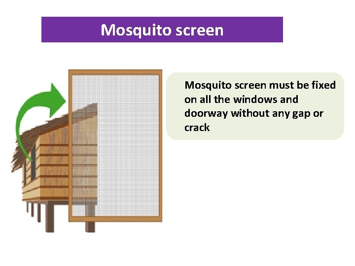 Mosquito screen must be fixed on all the windows and doorway without any gap