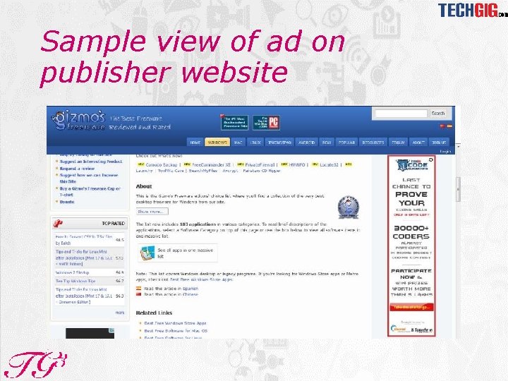 Sample view of ad on publisher website 