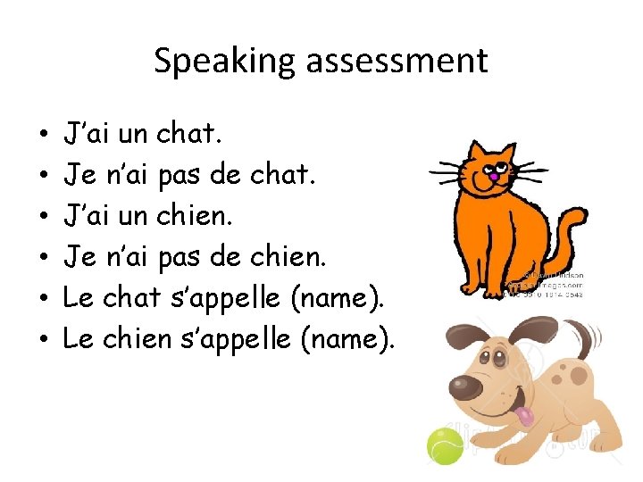 Speaking assessment • • • J’ai un chat. Je n’ai pas de chat. J’ai Speaking assessment • • • J’ai un chat. Je n’ai pas de chat. J’ai