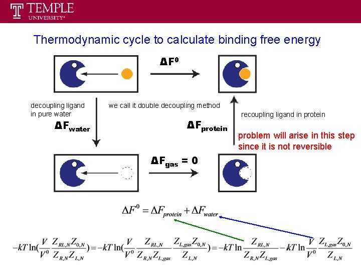 Thermodynamic cycle to calculate binding free energy ΔF 0 decoupling ligand in pure water