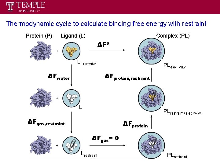 Thermodynamic cycle to calculate binding free energy with restraint Protein (P) Ligand (L) Complex