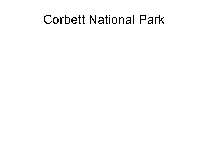 Corbett National Park 