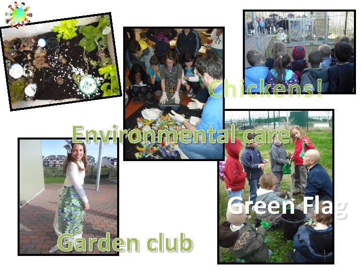 Chickens! Environmental care Green Flag Garden club 