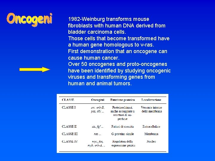 1982 -Weinburg transforms mouse fibroblasts with human DNA derived from bladder carcinoma cells. Those