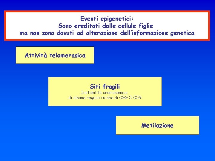 Eventi epigenetici: Sono ereditati dalle cellule figlie ma non sono dovuti ad alterazione dell’informazione