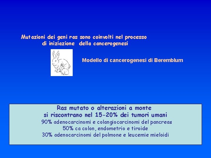 Mutazioni dei geni ras sono coinvolti nel processo di iniziazione della cancerogenesi Modello di