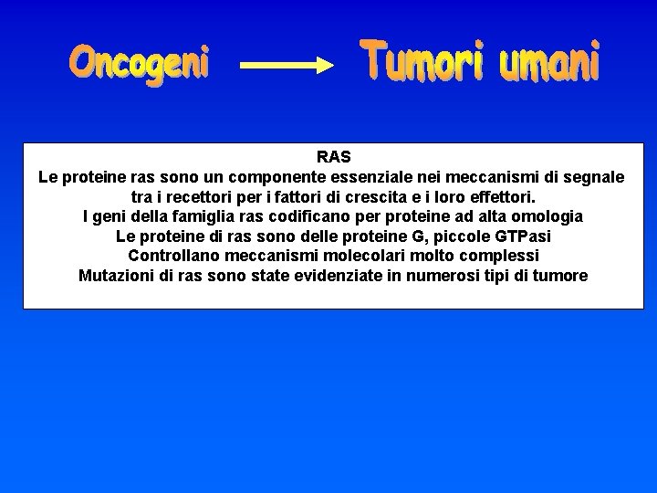 RAS Le proteine ras sono un componente essenziale nei meccanismi di segnale tra i