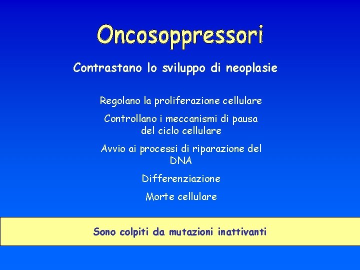 Contrastano lo sviluppo di neoplasie Regolano la proliferazione cellulare Controllano i meccanismi di pausa