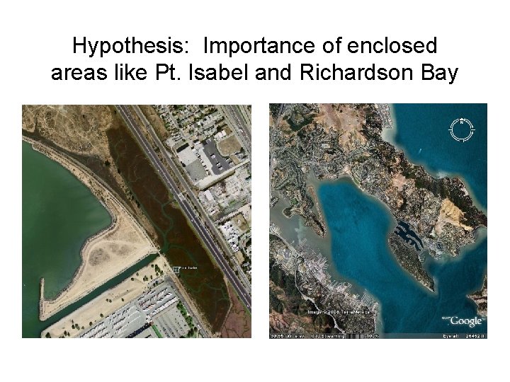 Hypothesis: Importance of enclosed areas like Pt. Isabel and Richardson Bay 
