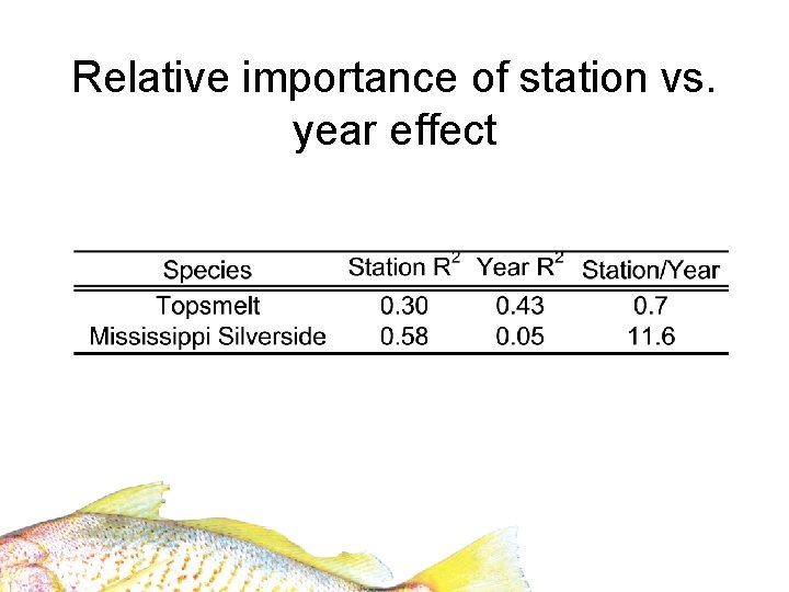 Relative importance of station vs. year effect 