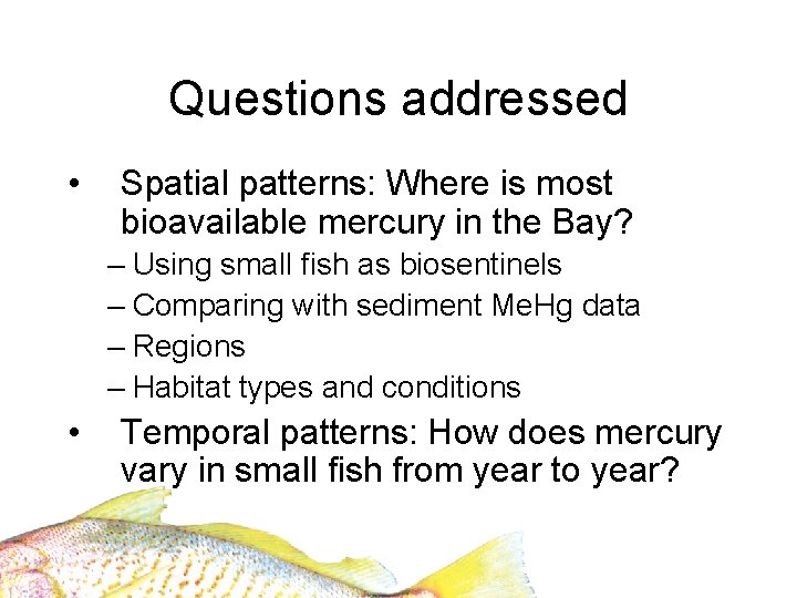 Questions addressed • Spatial patterns: Where is most bioavailable mercury in the Bay? –