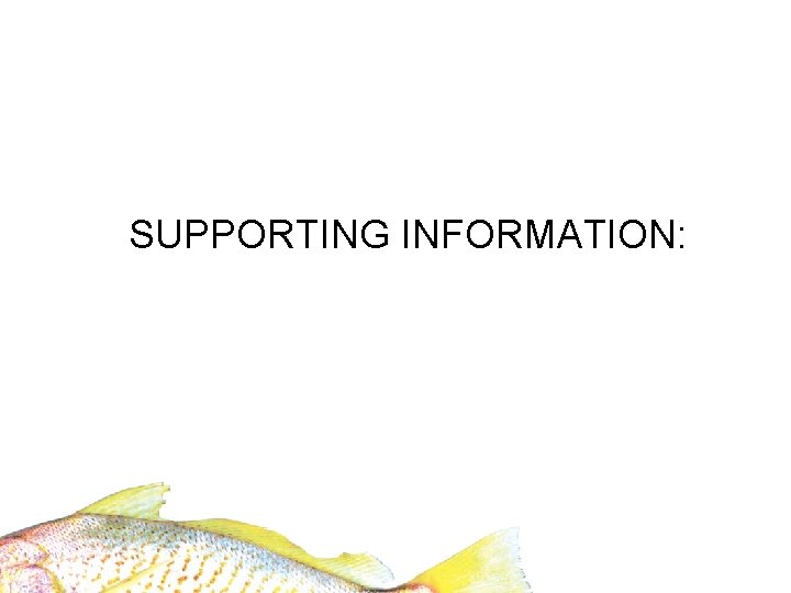SUPPORTING INFORMATION: 