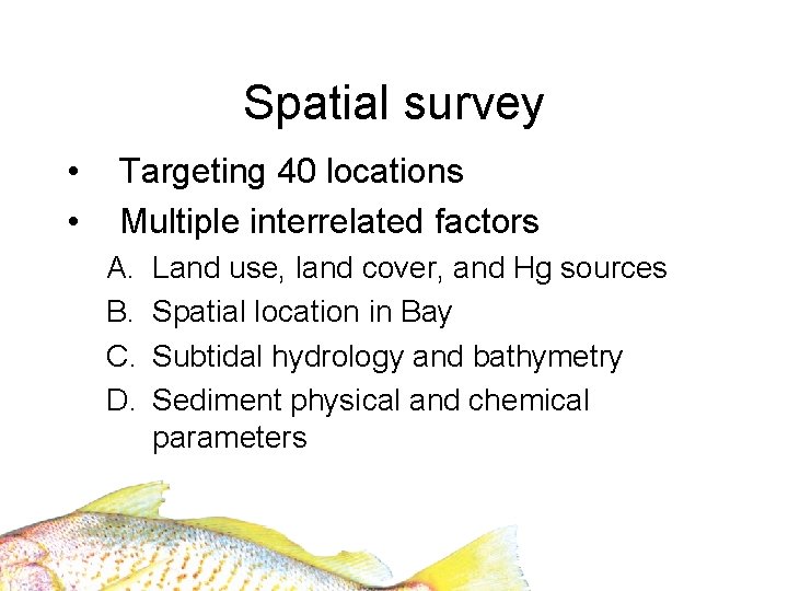 Spatial survey • • Targeting 40 locations Multiple interrelated factors A. B. C. D.