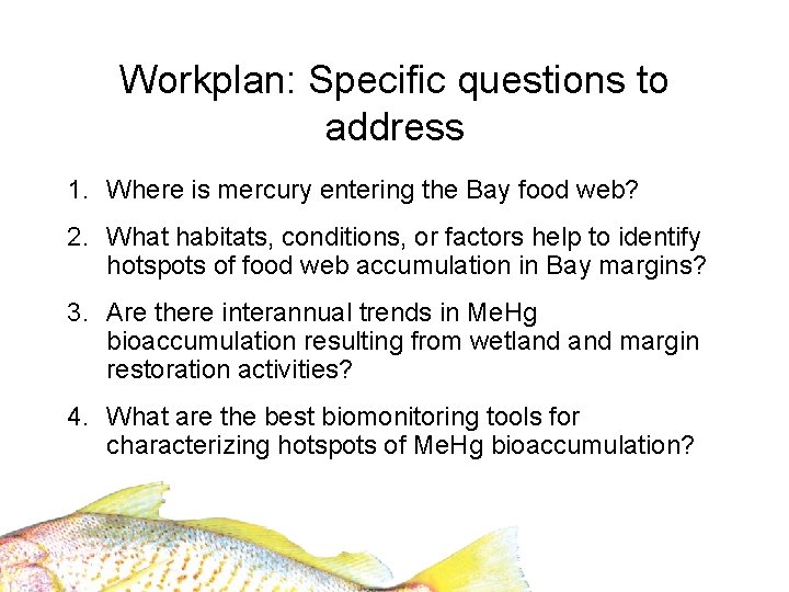 Workplan: Specific questions to address 1. Where is mercury entering the Bay food web?