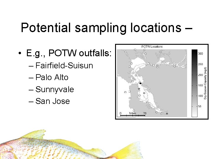 Potential sampling locations – • E. g. , POTW outfalls: – Fairfield-Suisun – Palo