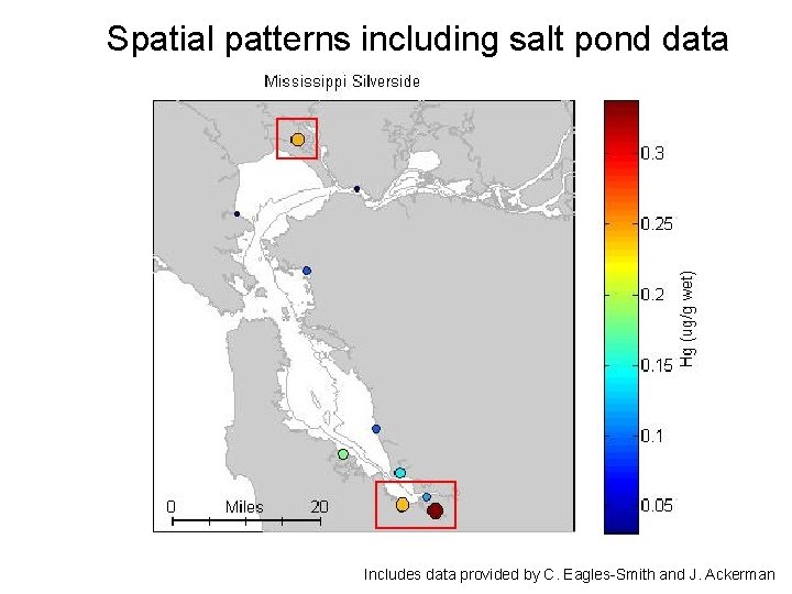 Spatial patterns including salt pond data Includes data provided by C. Eagles-Smith and J.