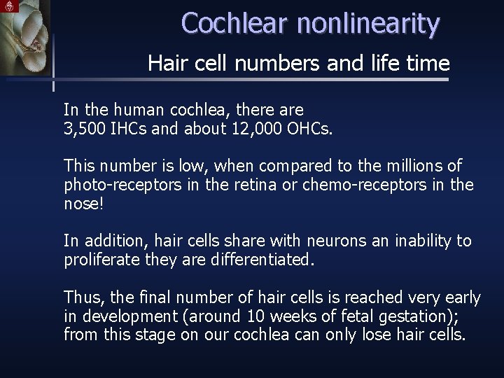 Cochlear nonlinearity Hair cell numbers and life time In the human cochlea, there are