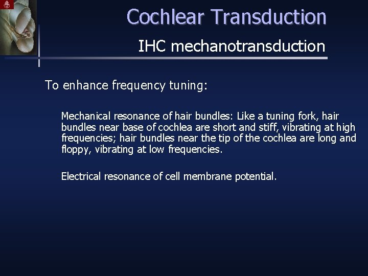 Cochlear Transduction IHC mechanotransduction To enhance frequency tuning: Mechanical resonance of hair bundles: Like