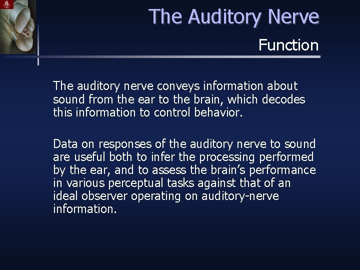 The Auditory Nerve Function The auditory nerve conveys information about sound from the ear