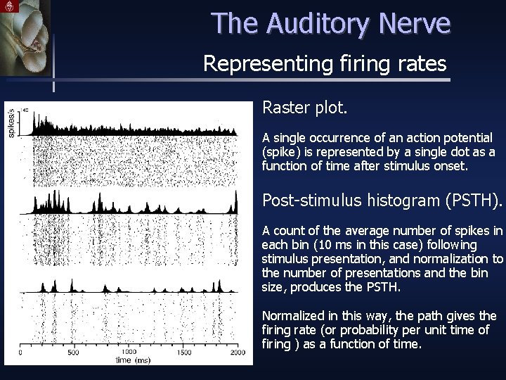 The Auditory Nerve Representing firing rates Raster plot. A single occurrence of an action