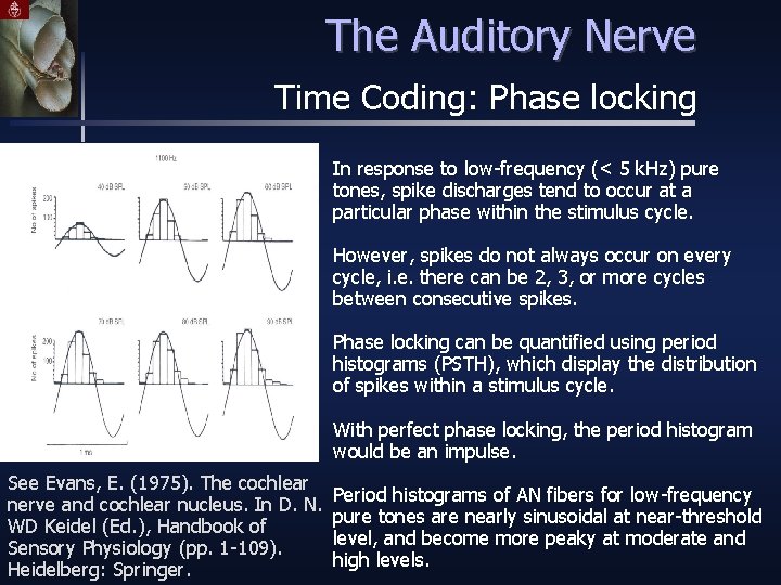 The Auditory Nerve Time Coding: Phase locking In response to low-frequency (< 5 k.
